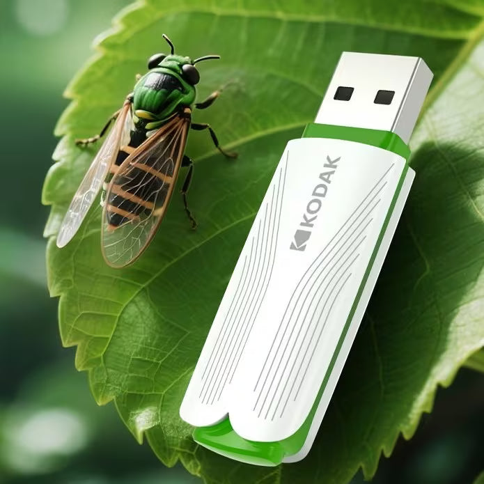 KODAK USB Flash Drive 2.0 K182 Series 16GB