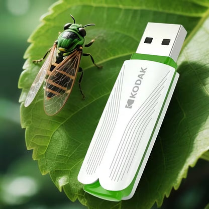 KODAK USB Flash Drive 2.0 K182 Series 16GB
